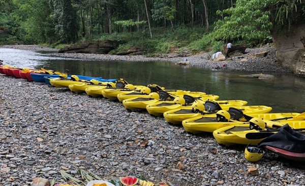 Jungle Kayak in Bukit Lawang
