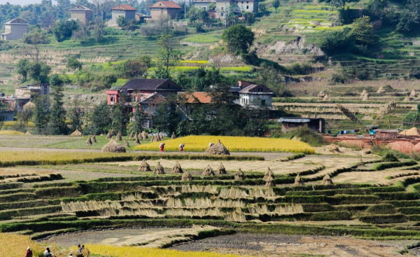 Platteland van Nepal