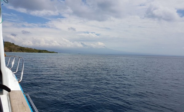 Snorkelen bij Menjangan Island