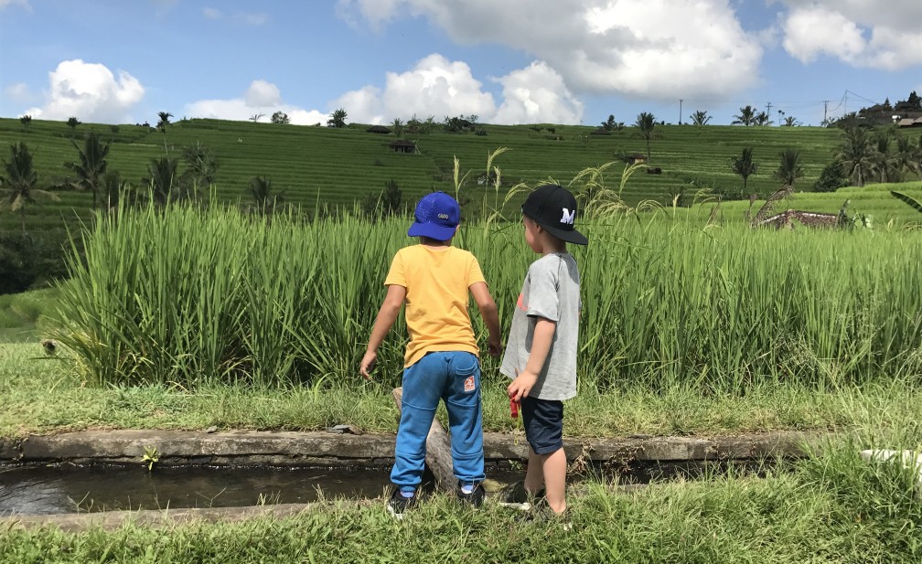 Studiereisverslag familievakantie Bali