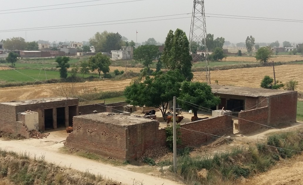 Amritsar farm