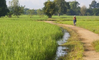 Het Thaise platteland