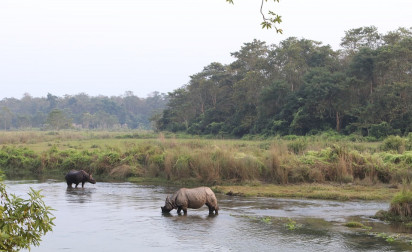 Chitwan National Park - Nepal