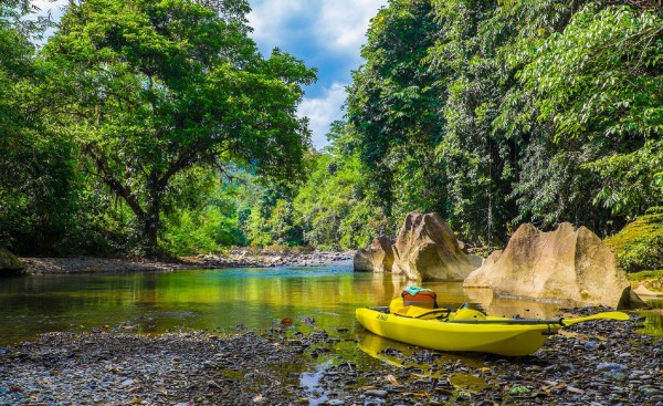 Jungle Kayak in Bukit Lawang