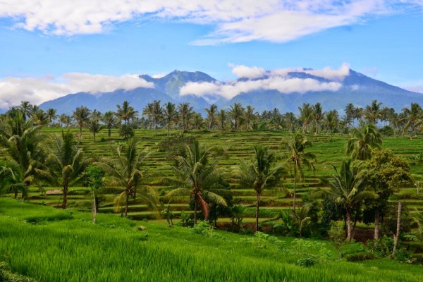 Hoogtepunten van Bali & Lombok