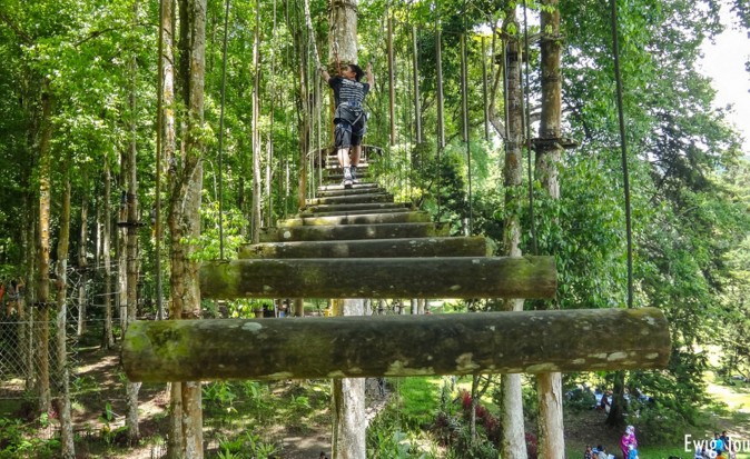 Slingeren door de jungle in het Treetops Adventure Park