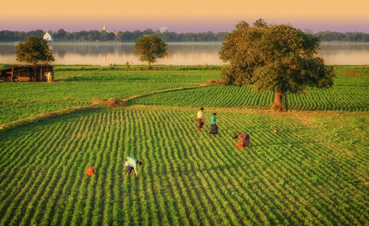 Boeren aan het werk op het land bij Mandalay 