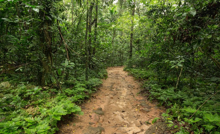 Kitulgala, een stukje puur natuur in Sri Lanka