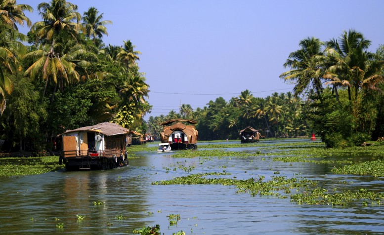 Backwaters in Kerala