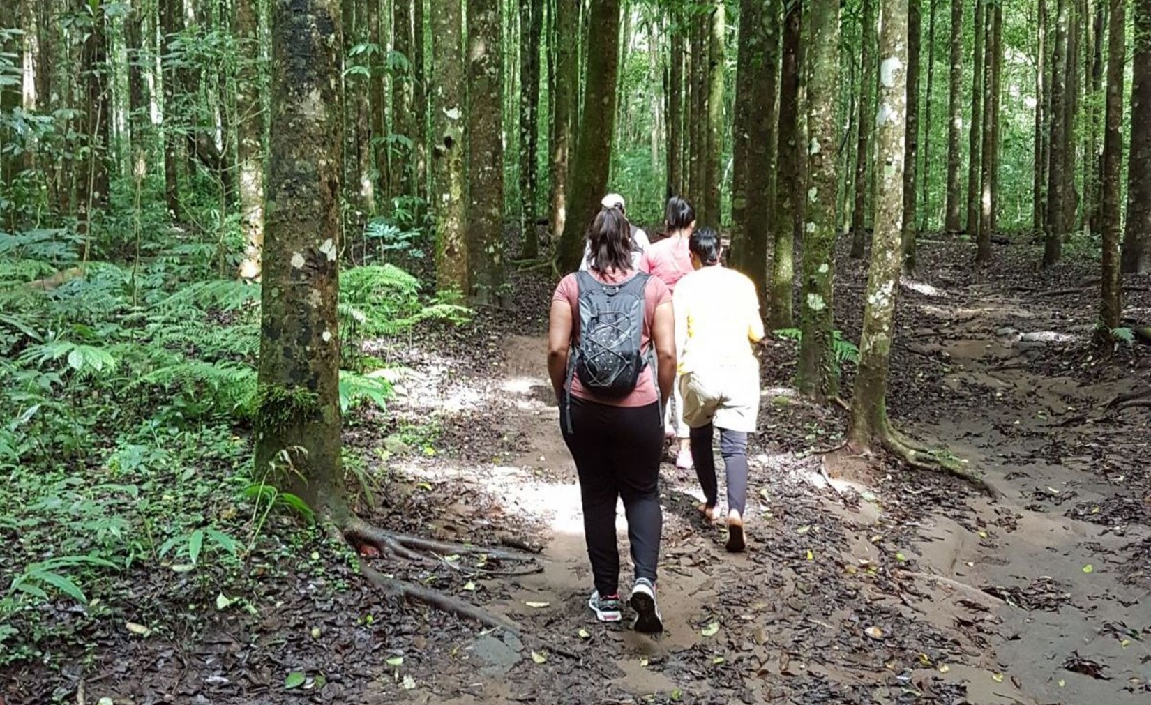 Trekking Munduk in Bali