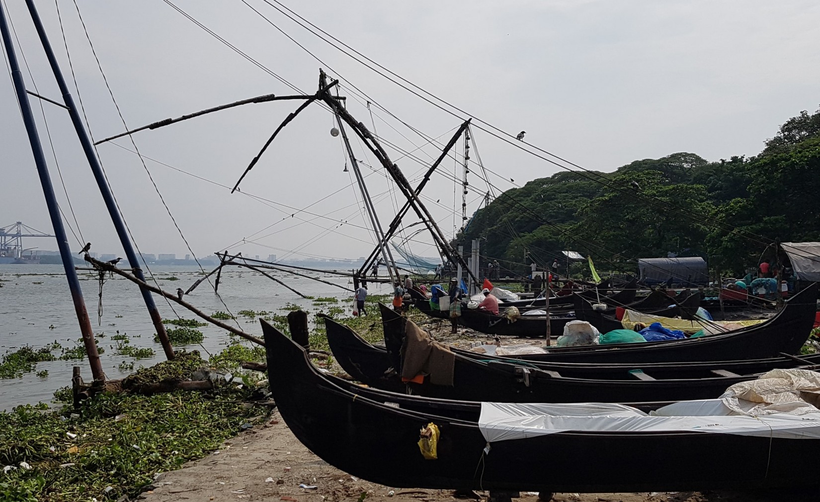 De Living Islands in Kochi