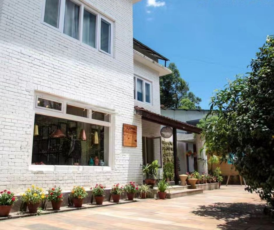 Patan's The Local Project