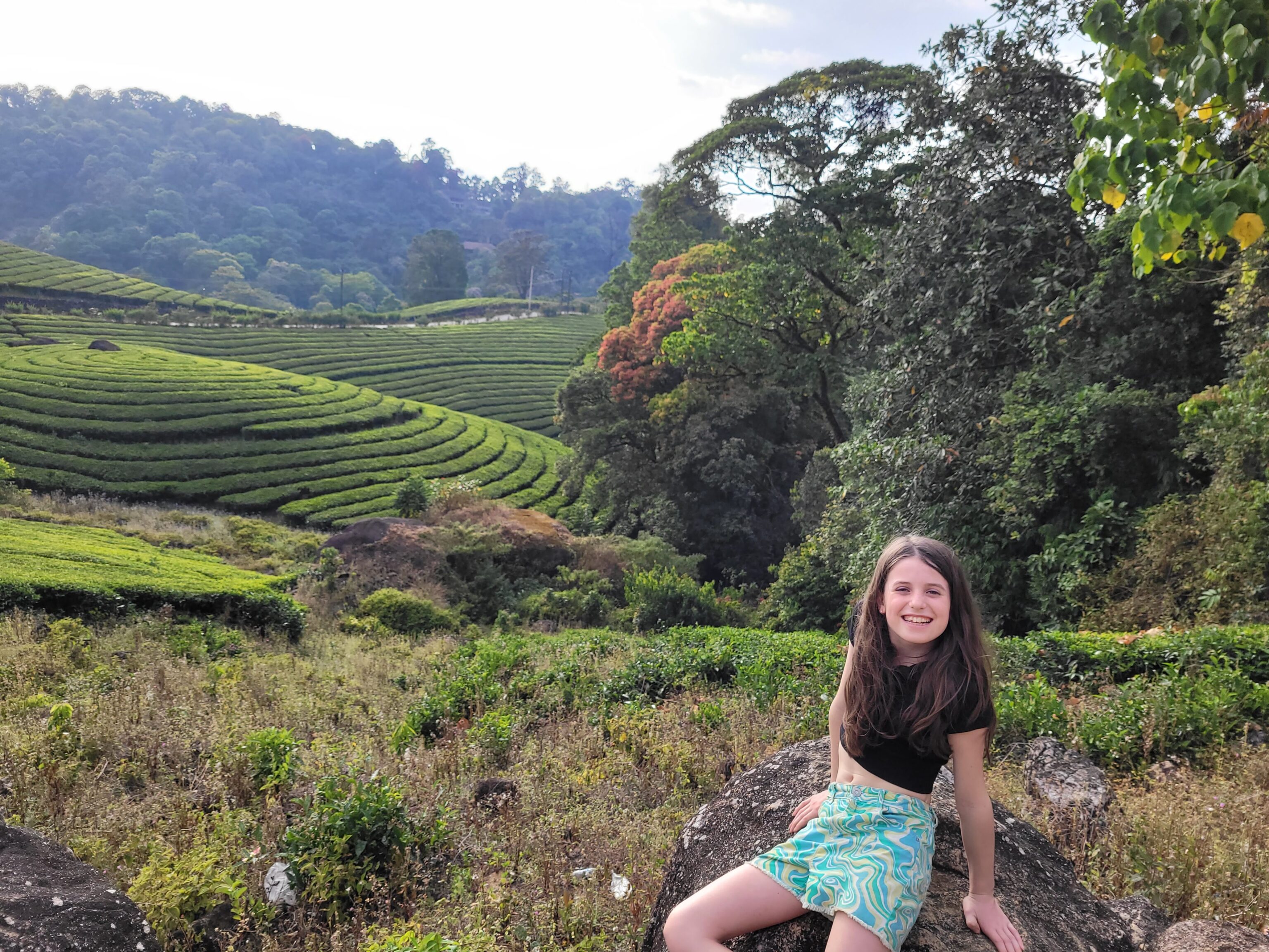 Munnar - Theevelden - familiereis
