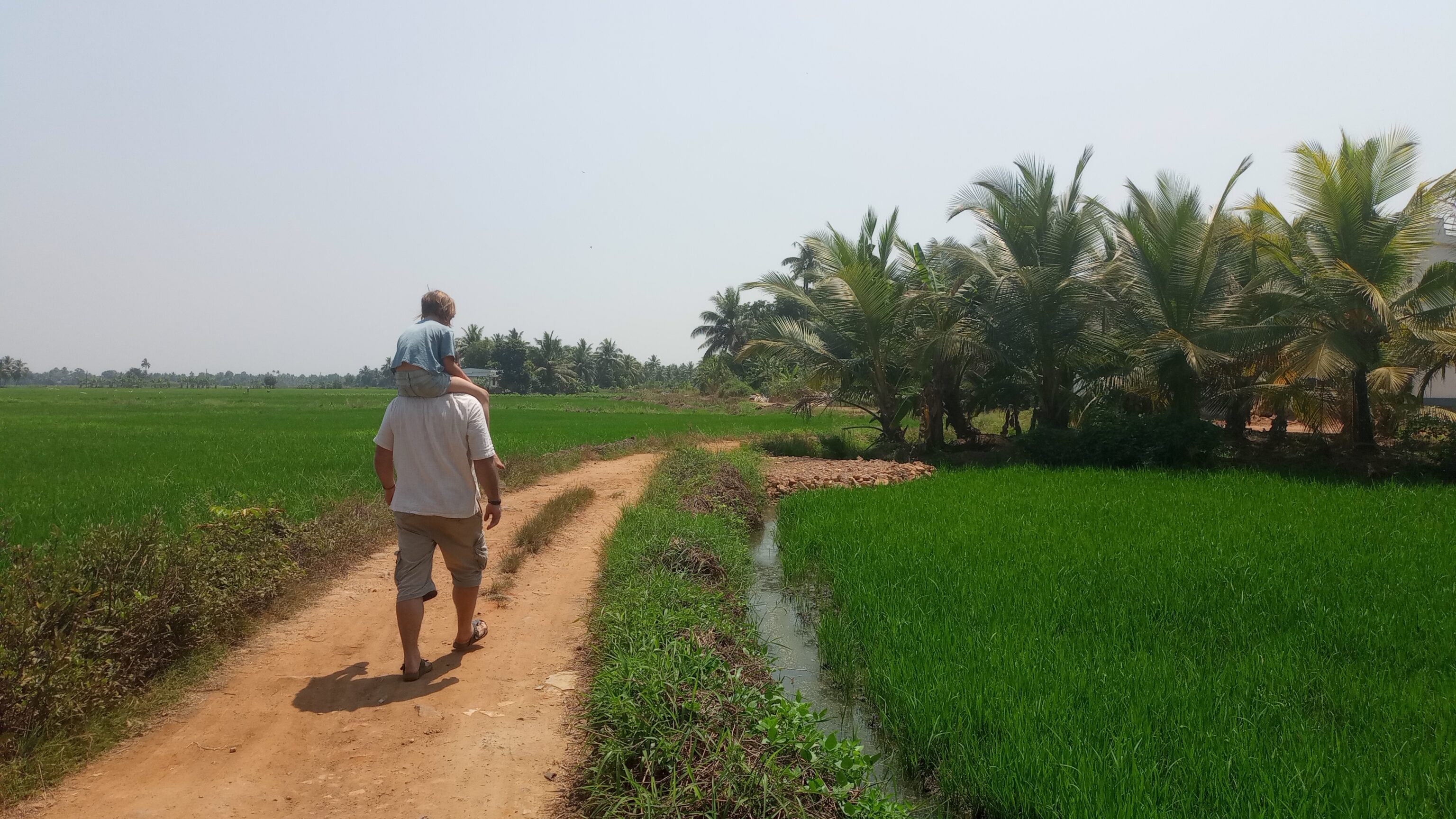 backwaters - rijstveld - kerala - familiereis