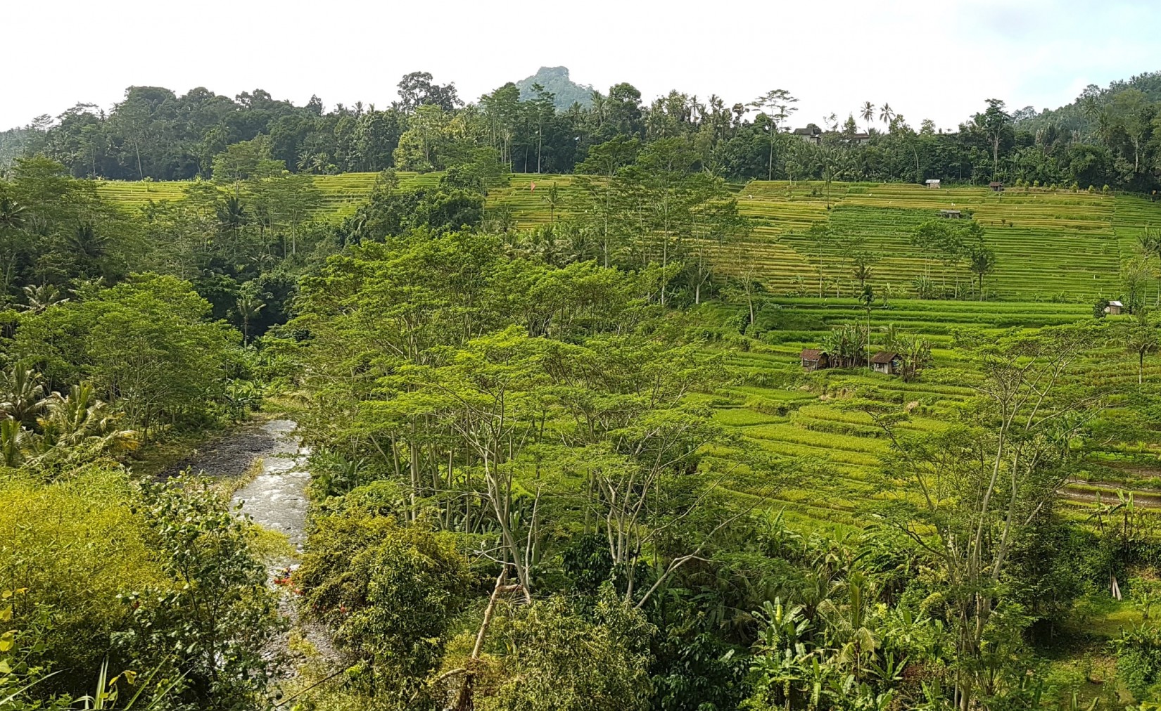 Rondreis Indonesië