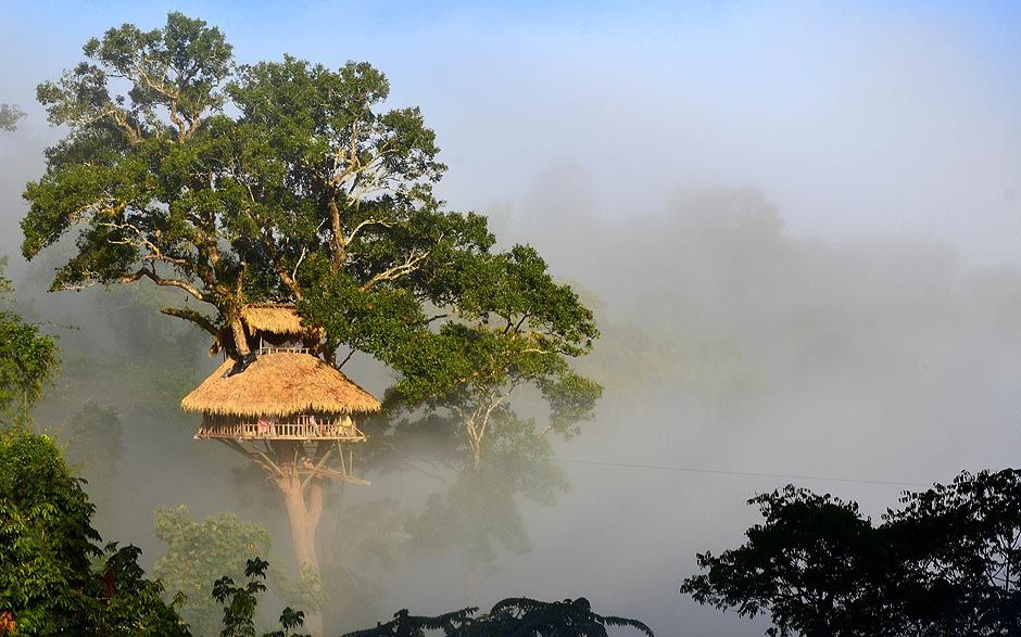 treehouse_6