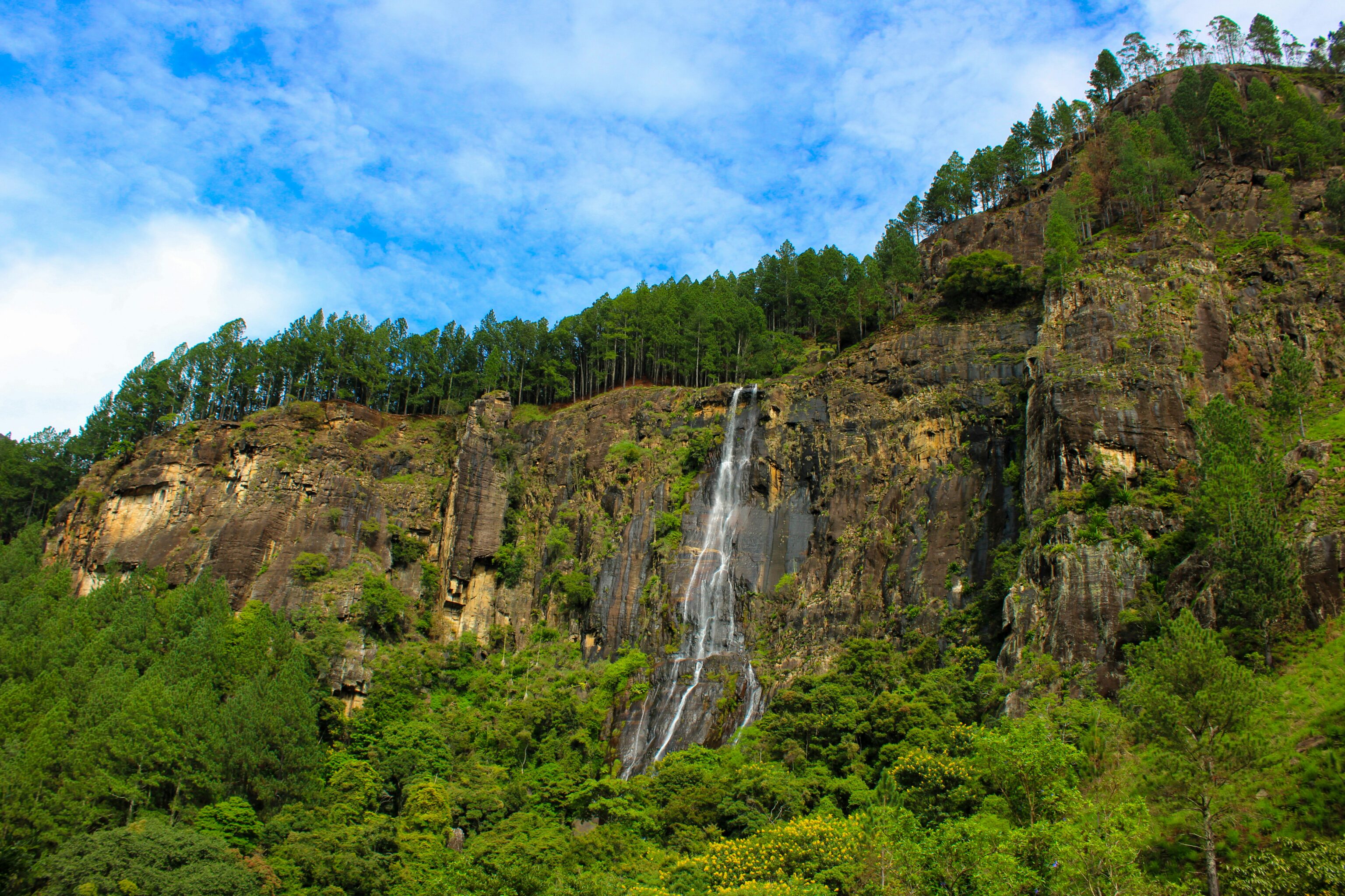 dilani-wickramanayake-0JJhGVGUdtc-unsplash