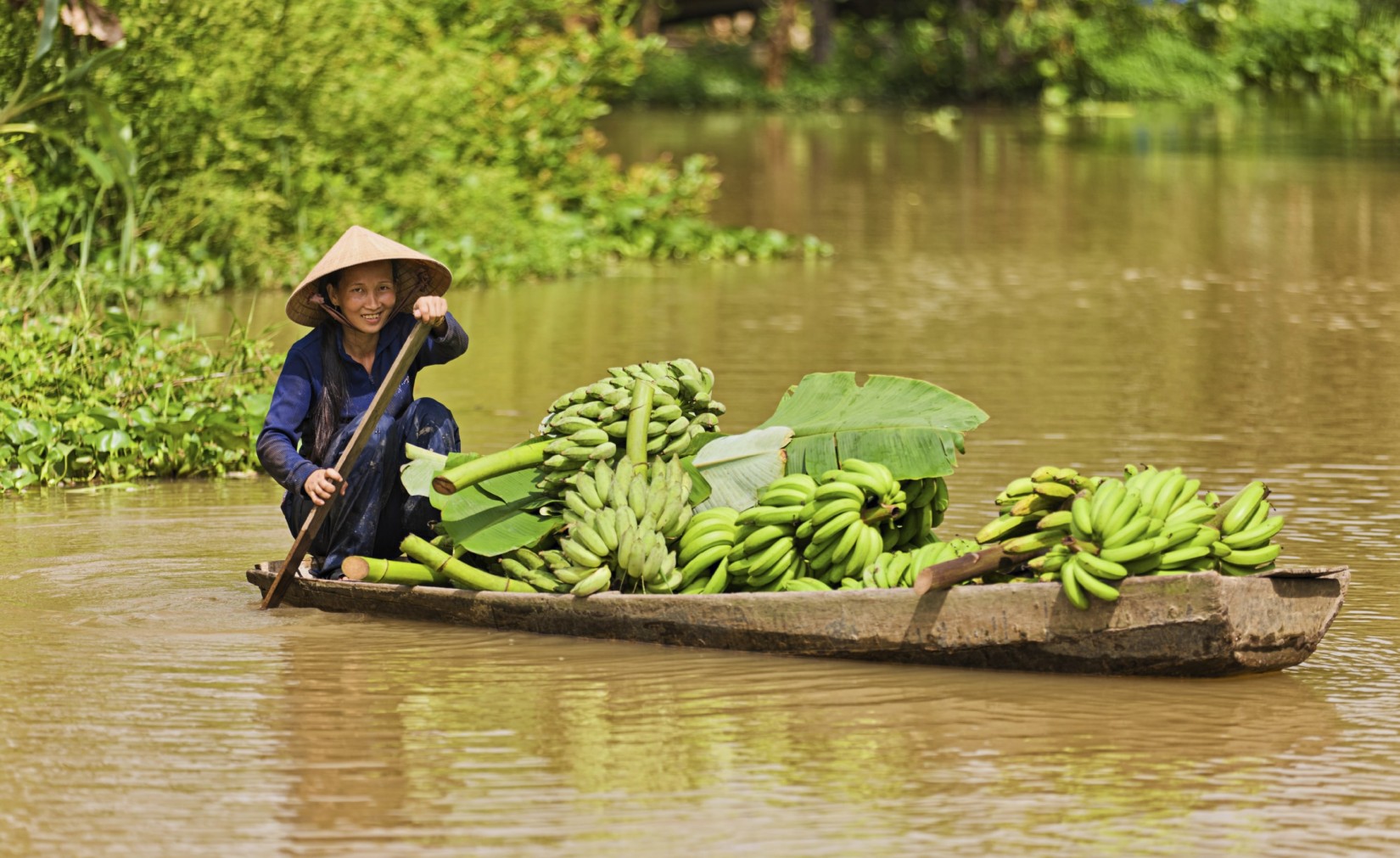 Mekong Delta