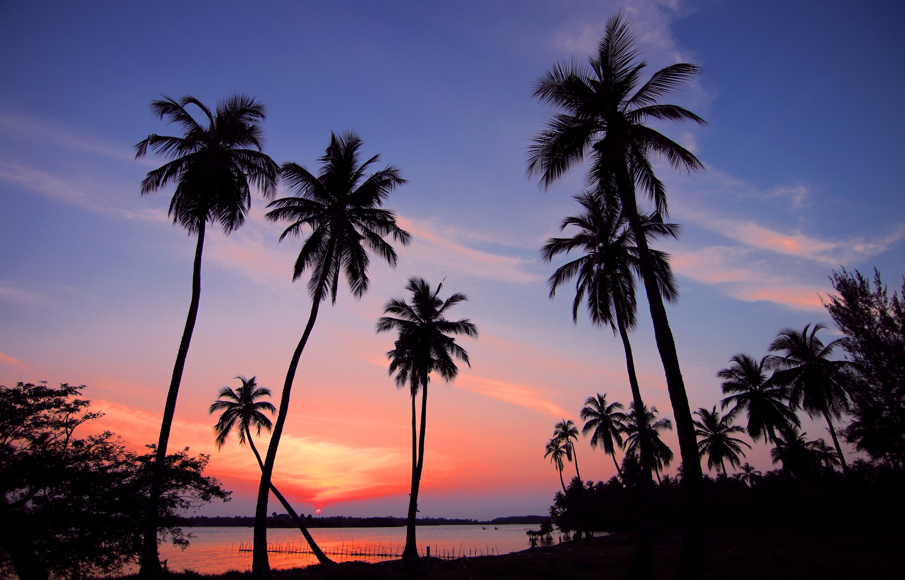 sri-lanka-2455695