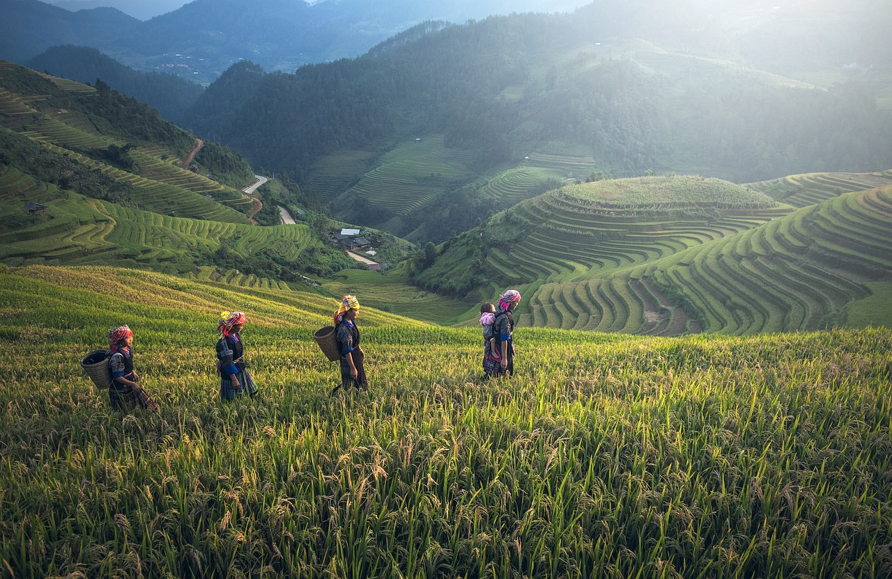 vier uur durende trekking in sapa, Vietnam