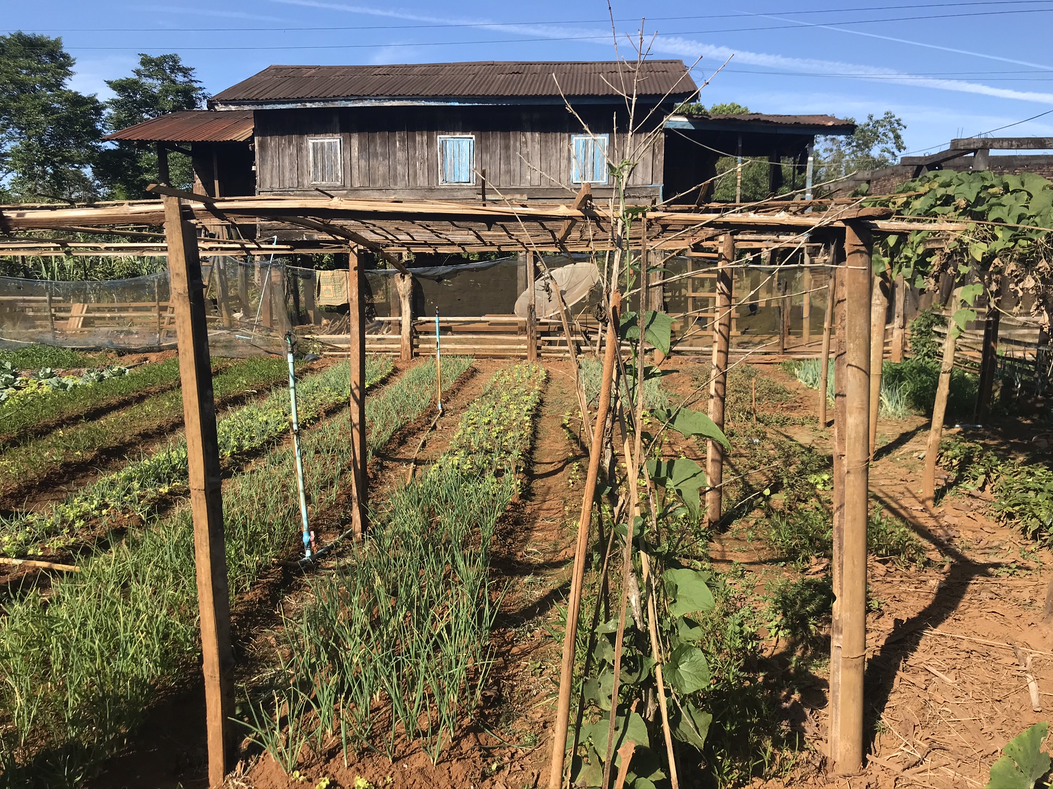 56. Bolaven Plateau