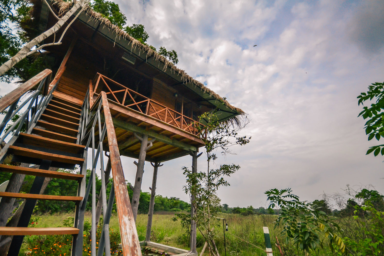 Treehouse The Hideout