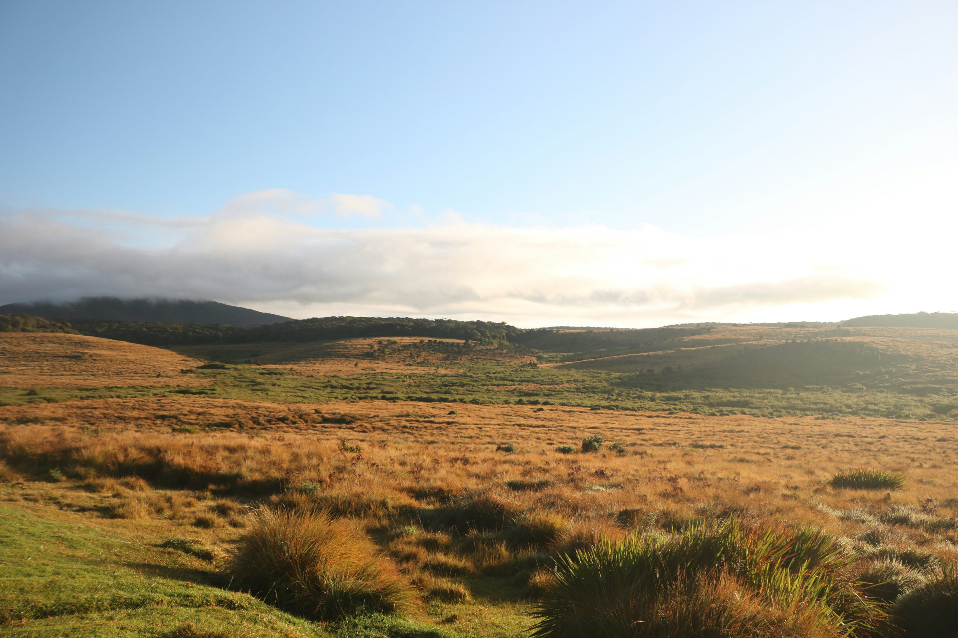 Horton Plains