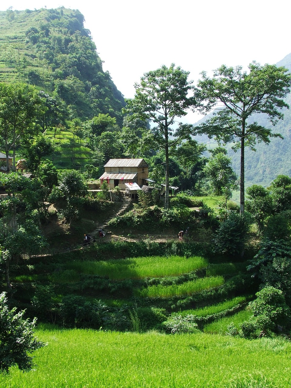 nepal-978348_1280