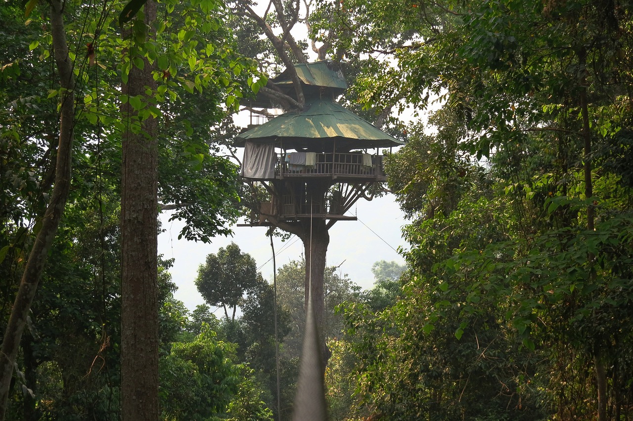 treehouse-6006204_1280