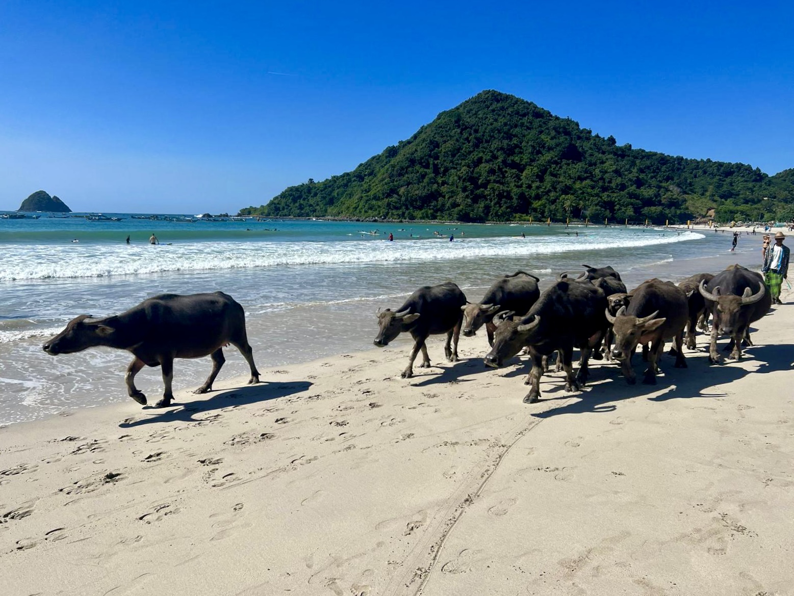 Selong Belanak Lombok