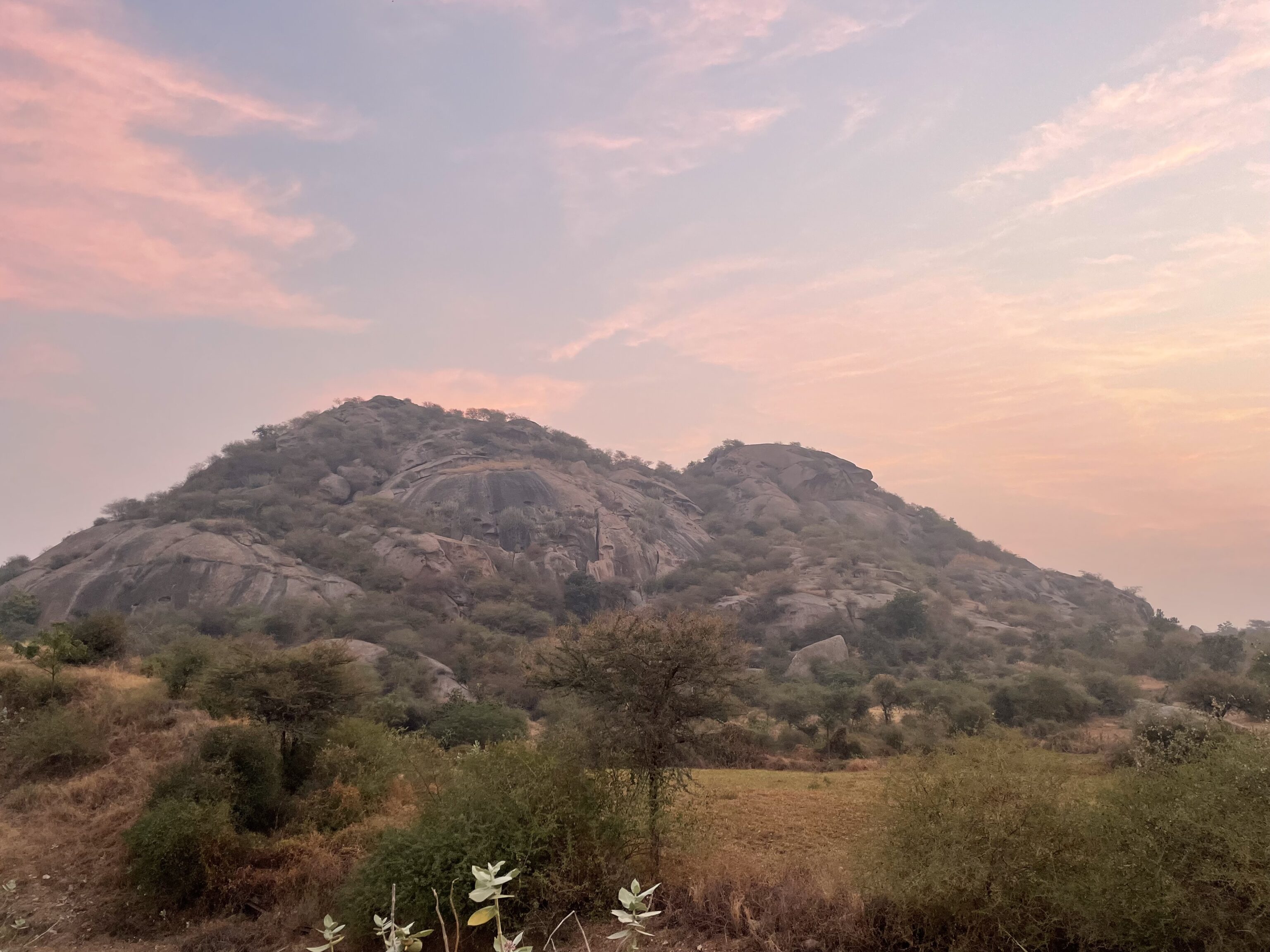 Bera in Noord-India