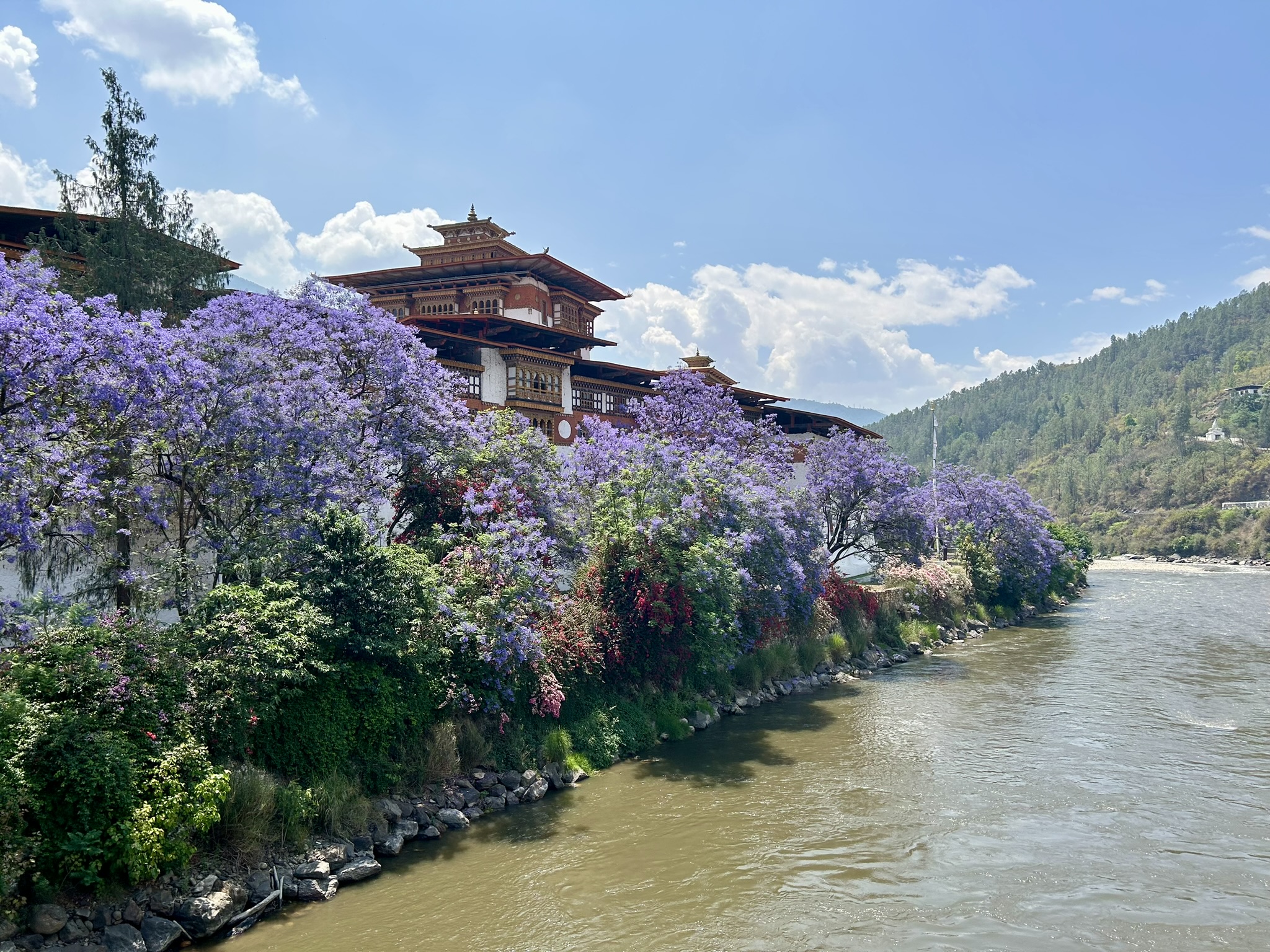 Punakha Dzong 2