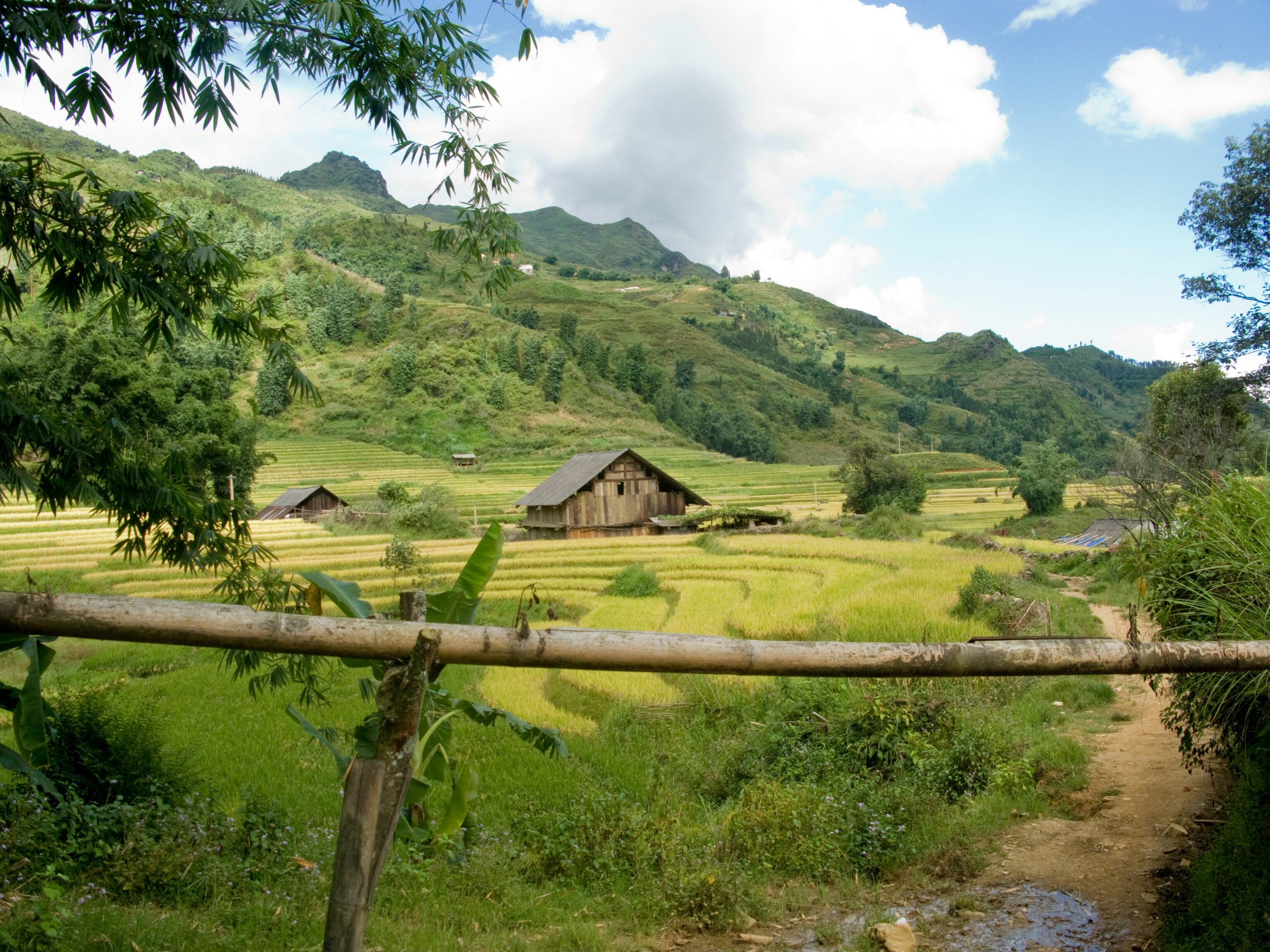 Sapa