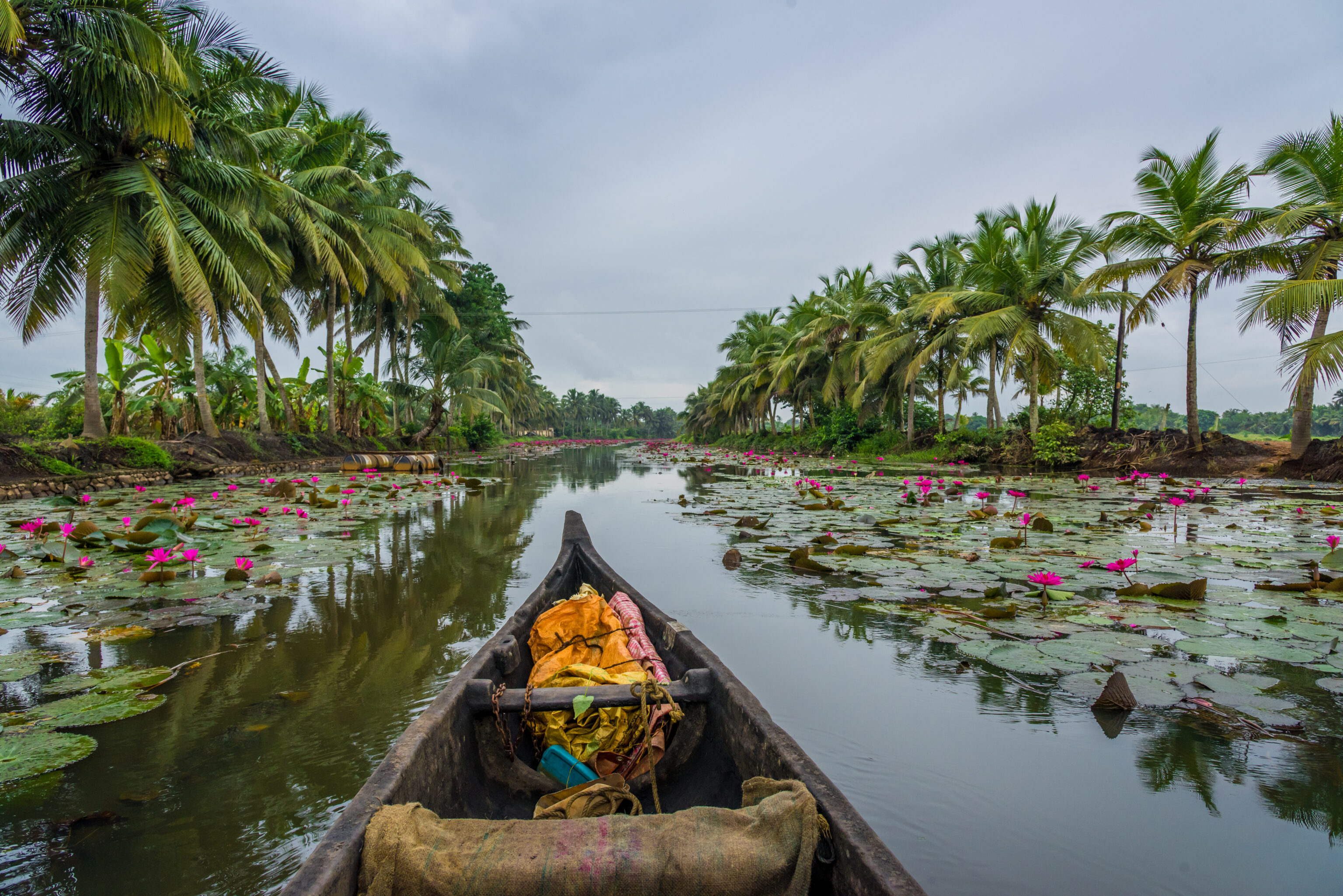 Backwaters