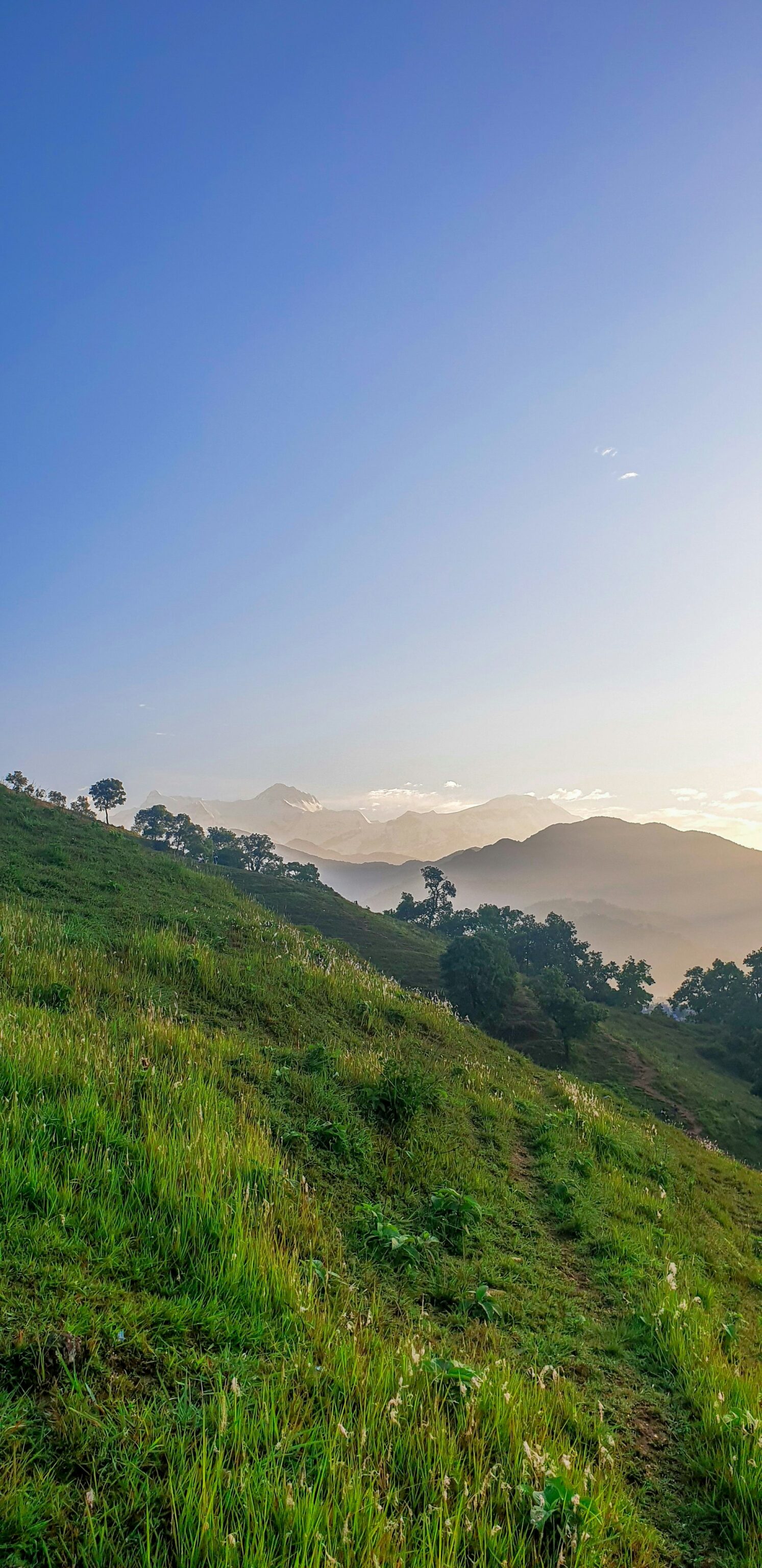 bibek-thakuri-WcfEZWO9fnU-unsplash