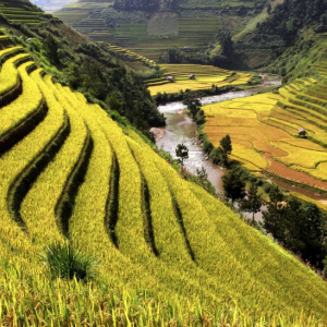 Laos
