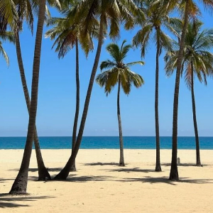 Sri Lanka