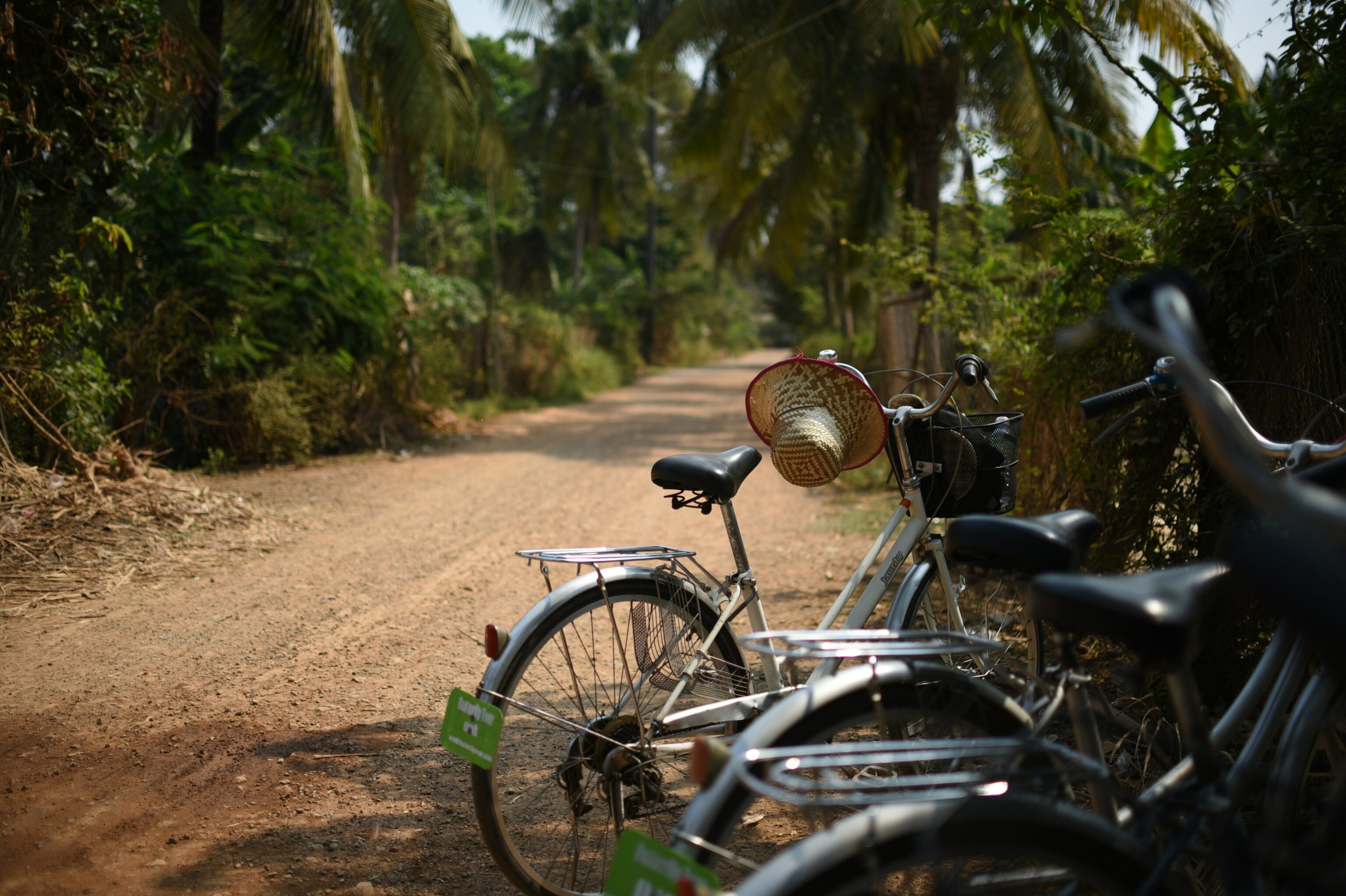 Fietstocht – unsplash Anna Seeley
