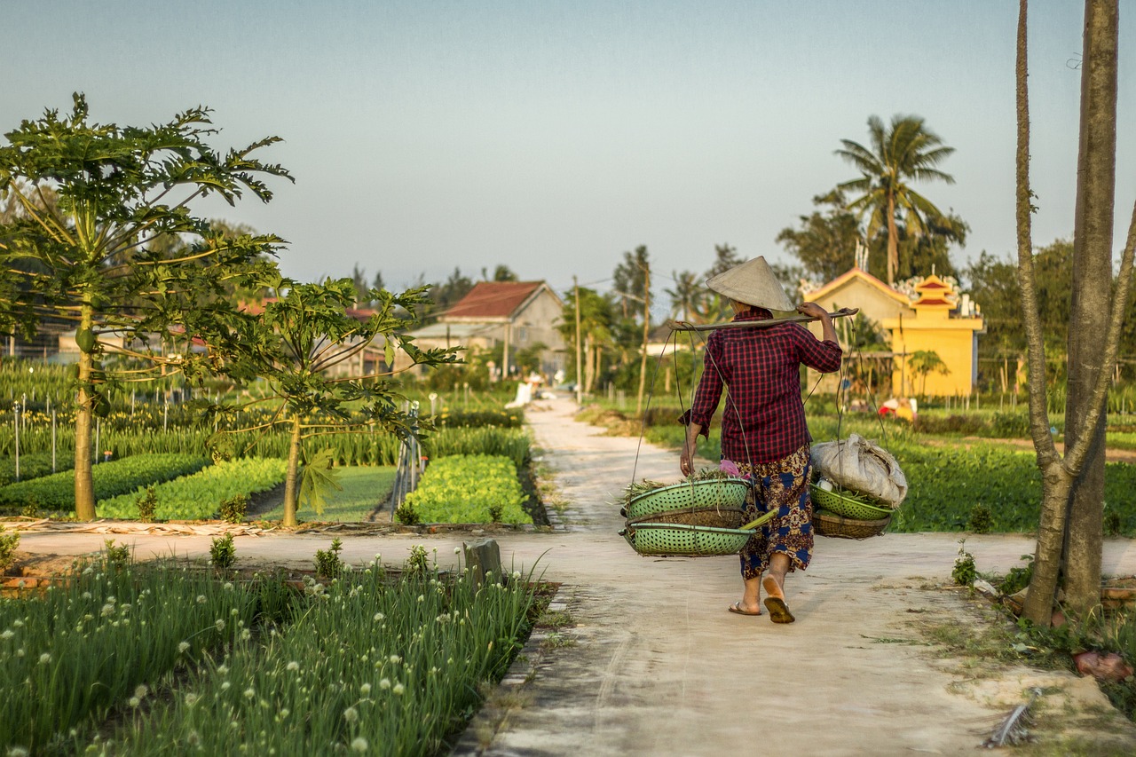 Farm in Hoi An