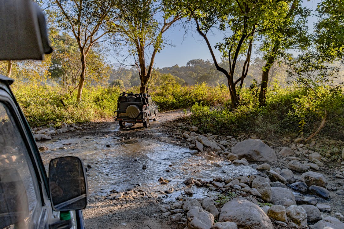 India-Jeeptour-Corbett National Park-free-photo-of-off-road-adventure-in-uttarakhand-forest