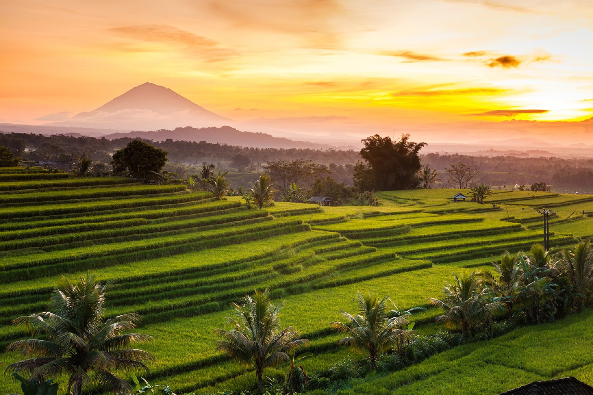 Indonesie-Foto van website-Munduk-dd46d940-418d-4b0b-a225-a29bc3802b5b-1