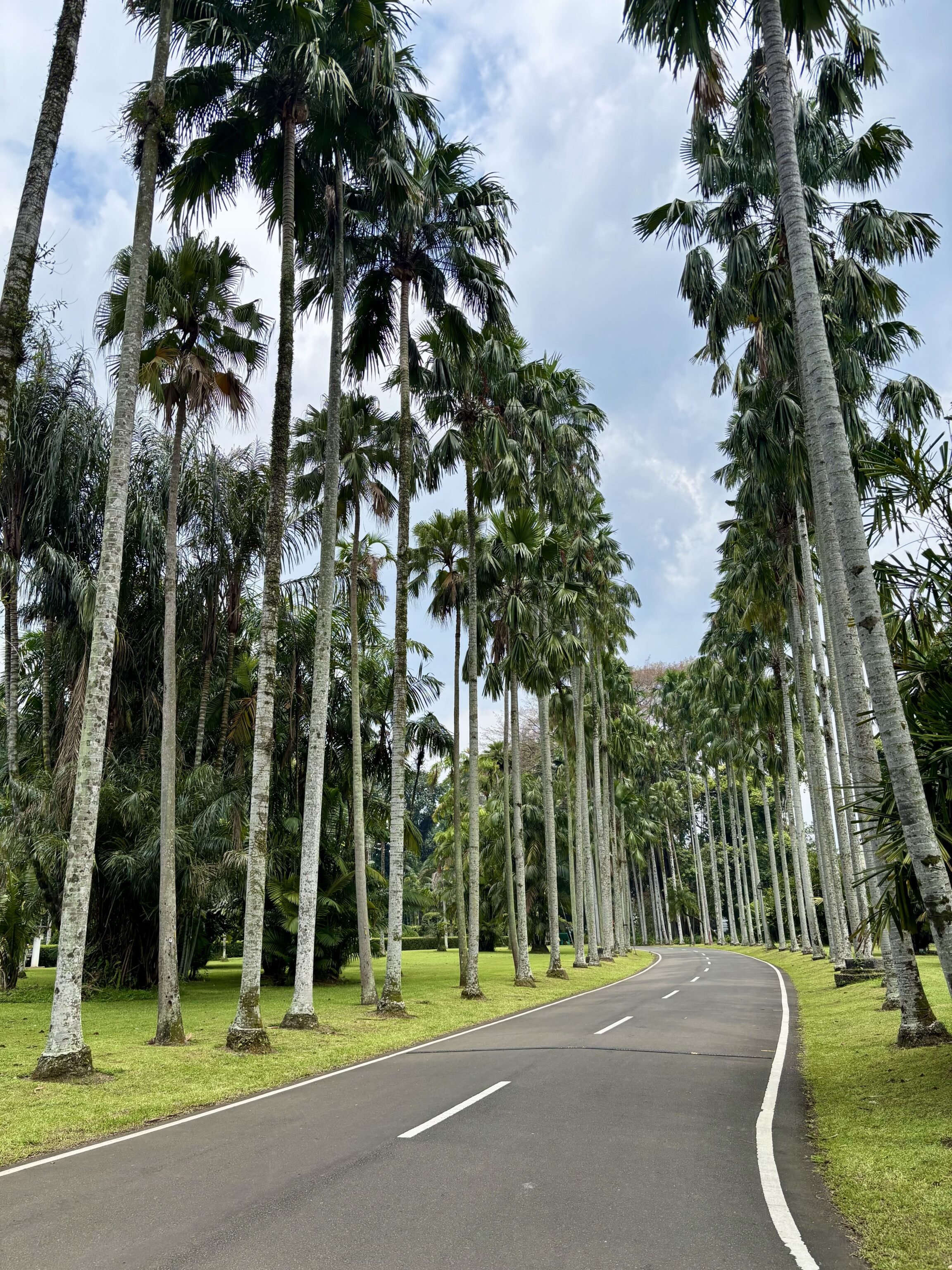 Indonesie - Java - Botanische Tuin - Foto van Nina