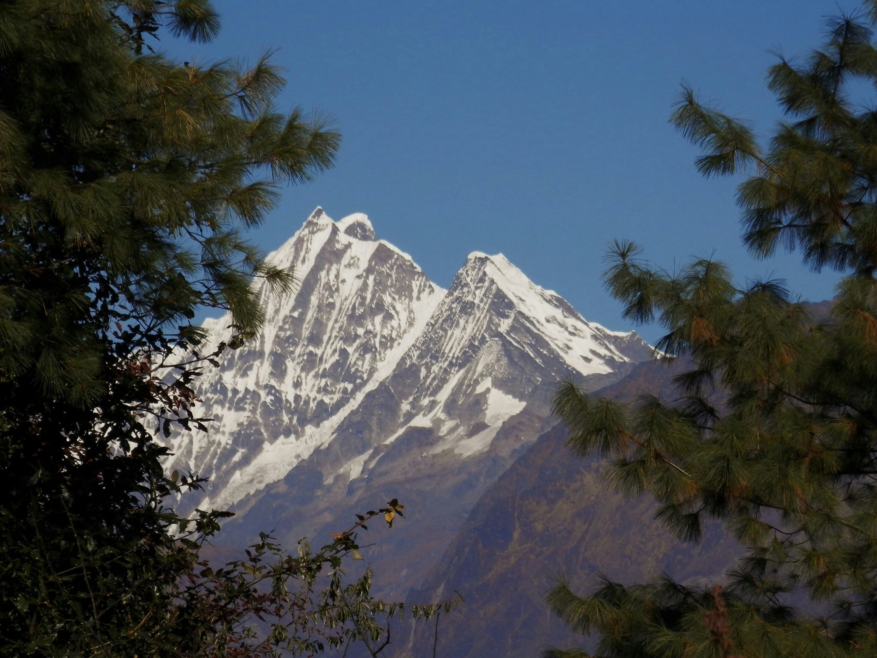 Druk Path Trek