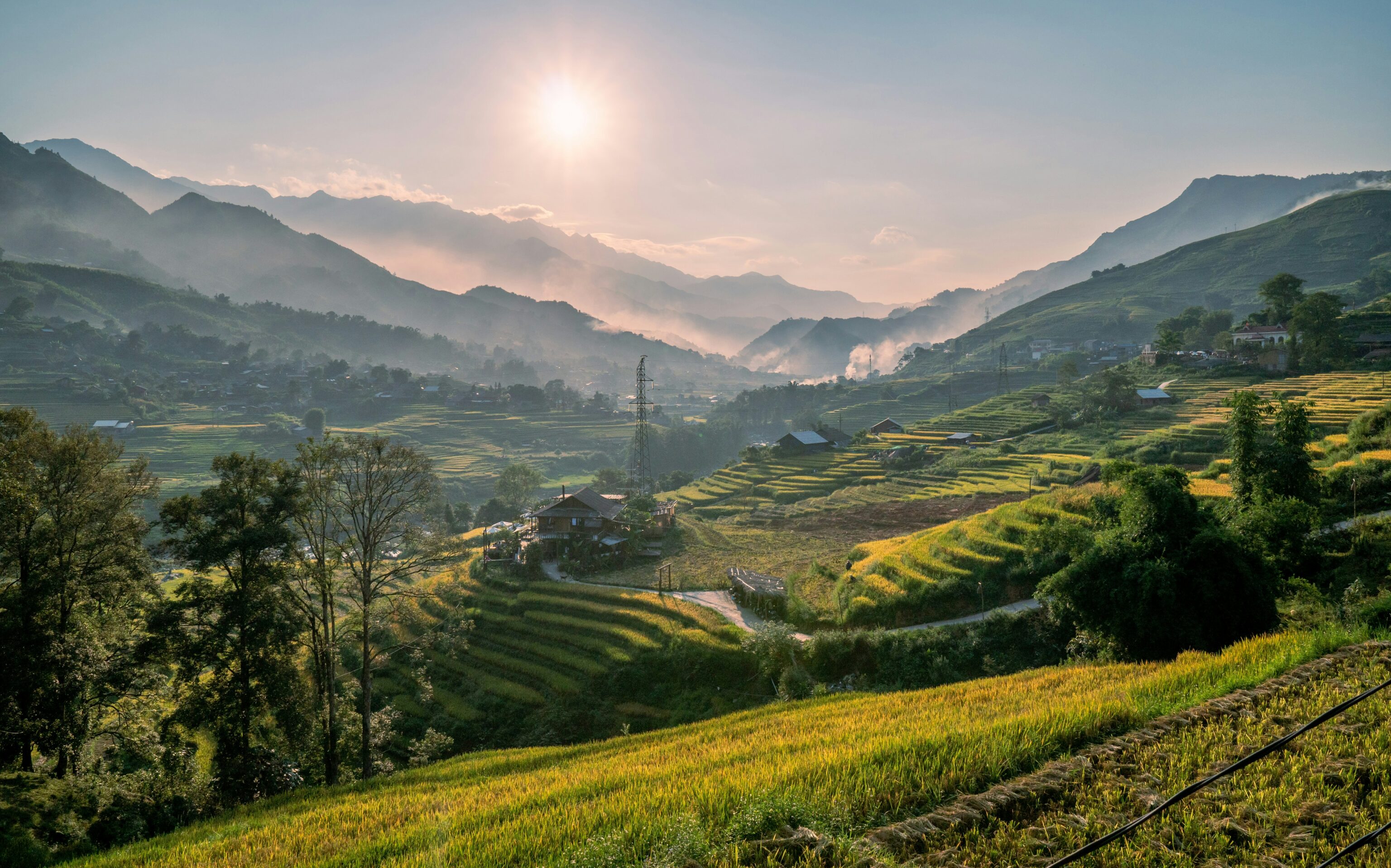 Sapa