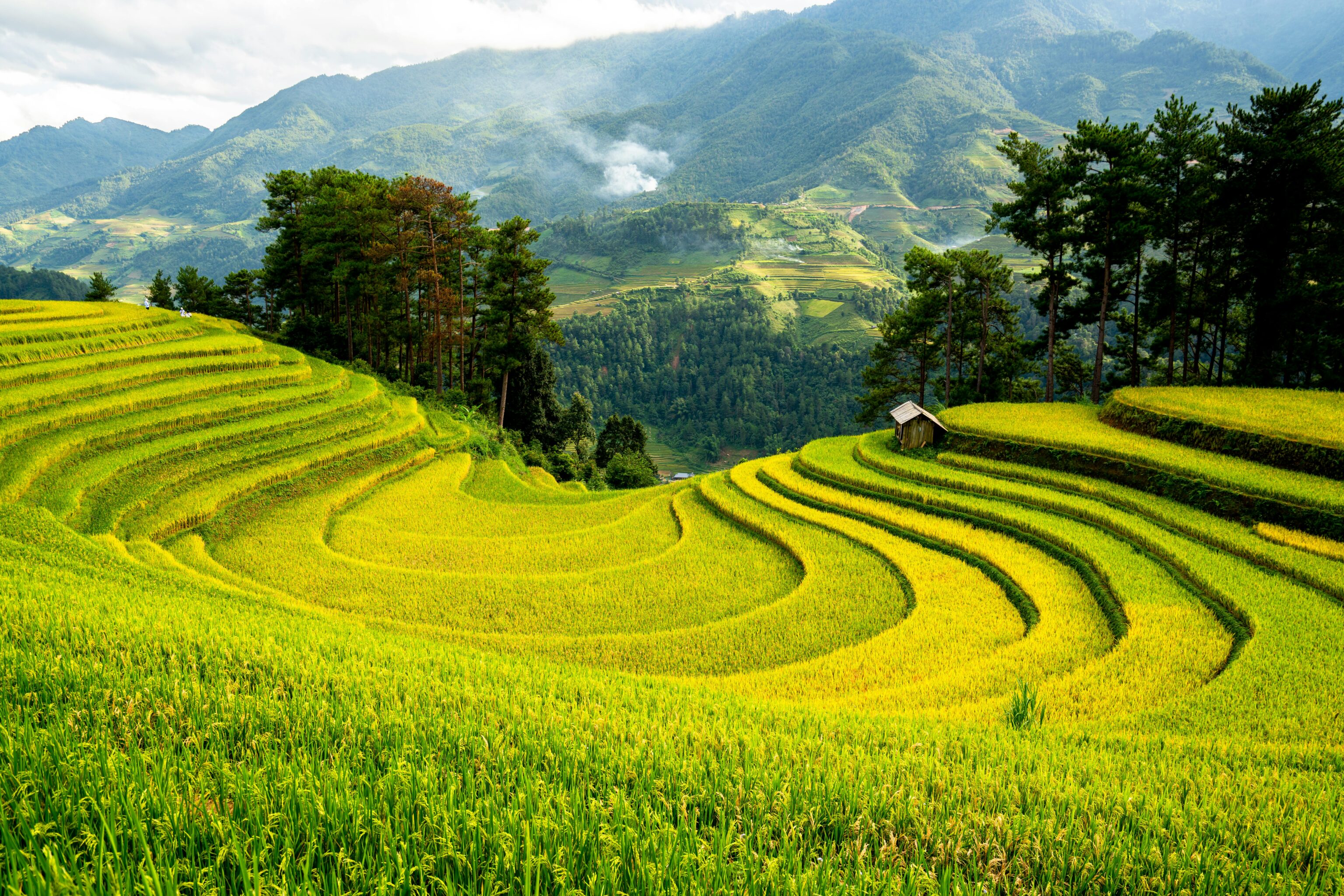 Lao Cai