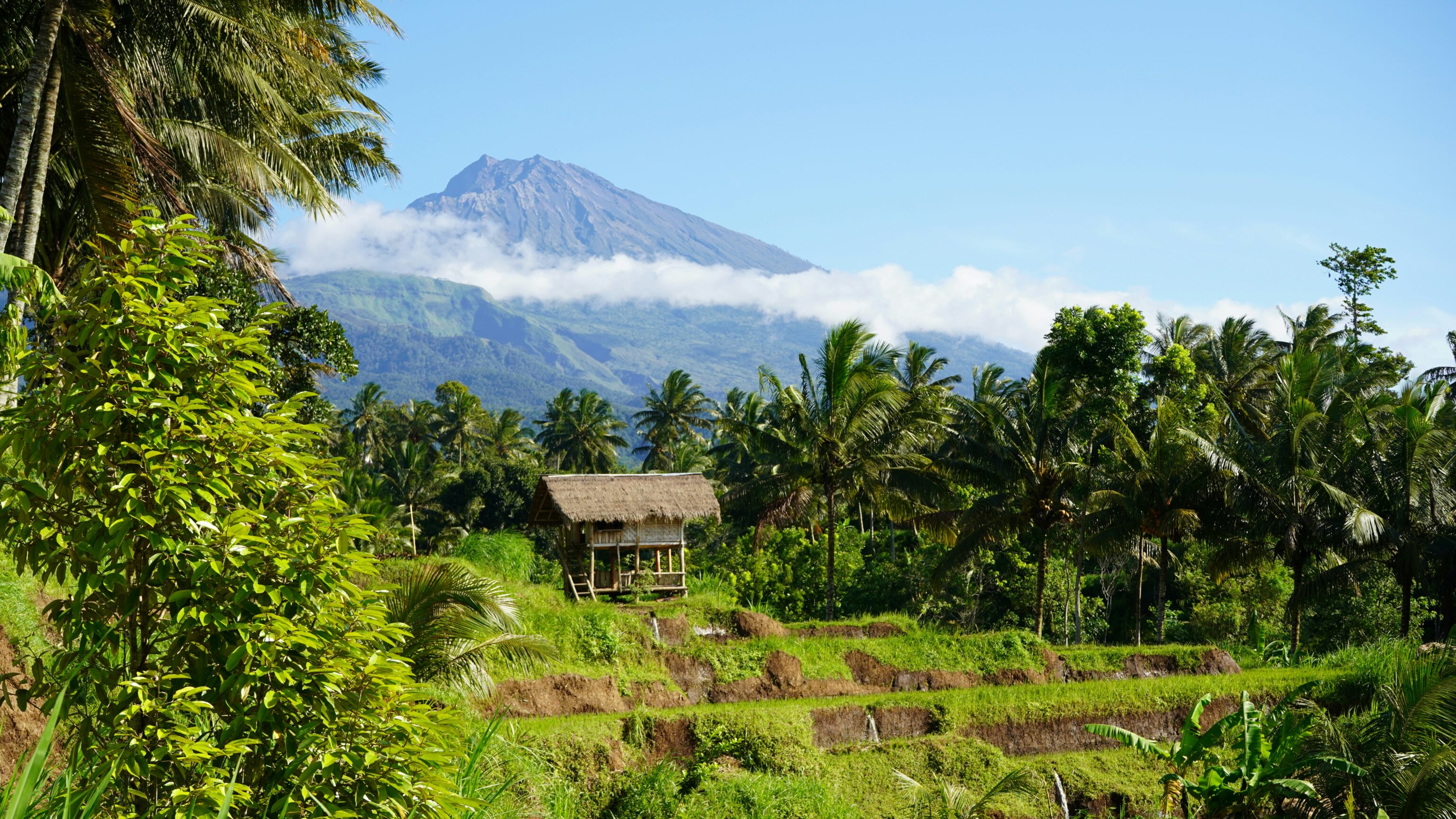 Rinjani