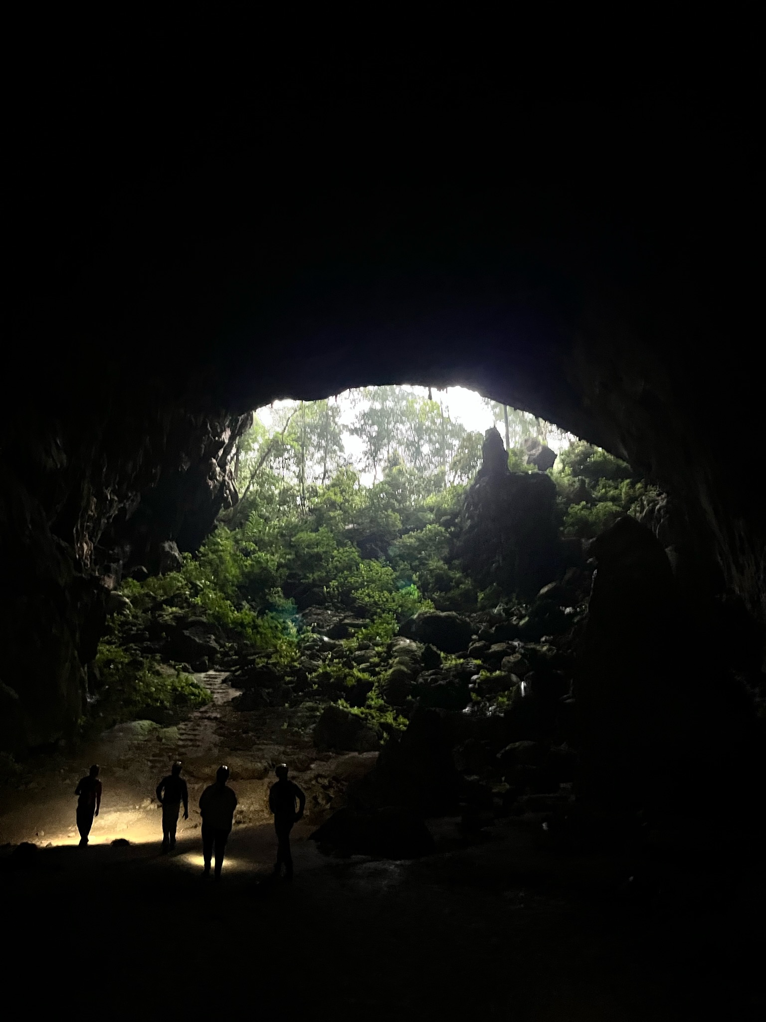 Phong Nha