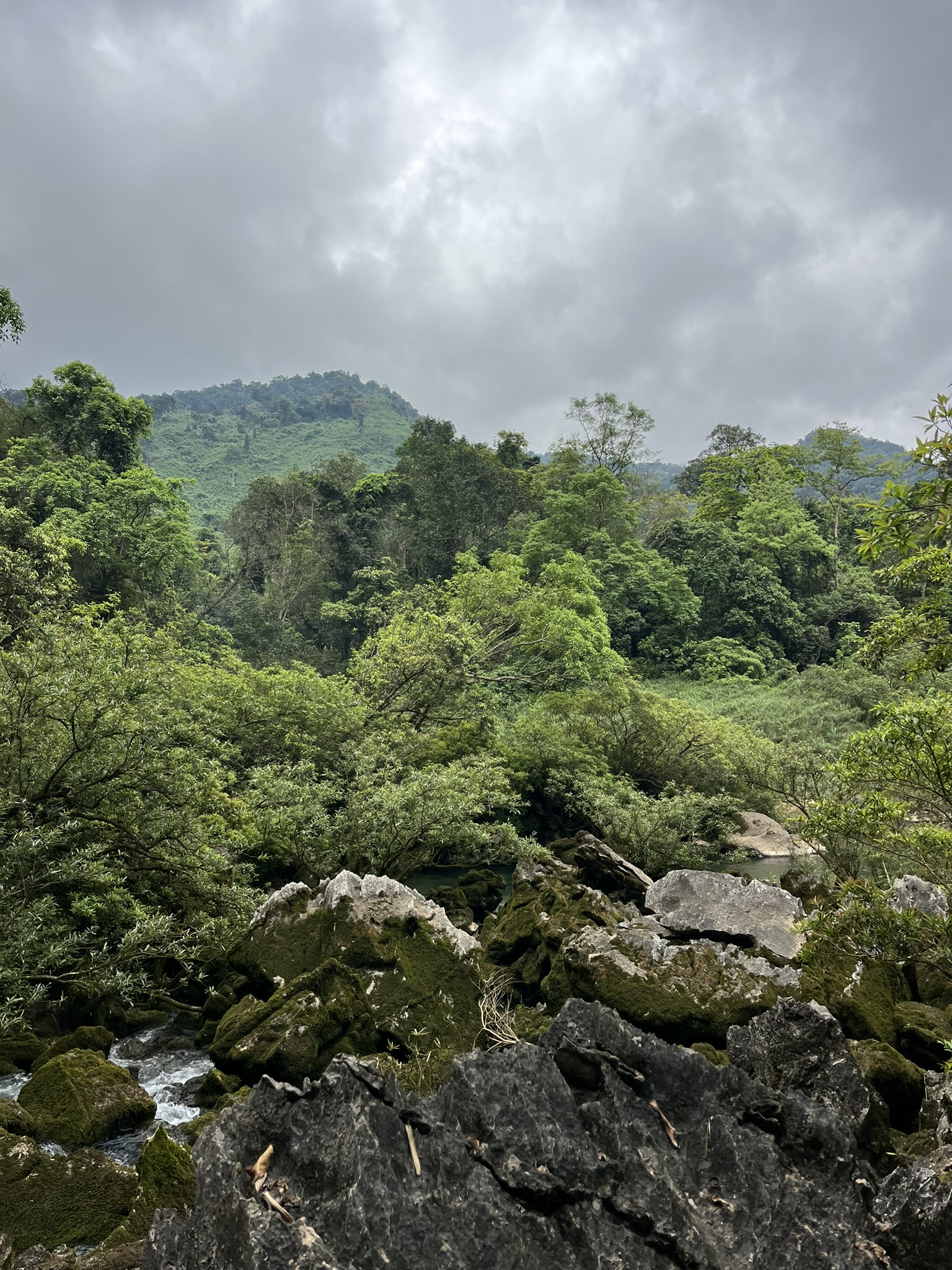Phong Nha