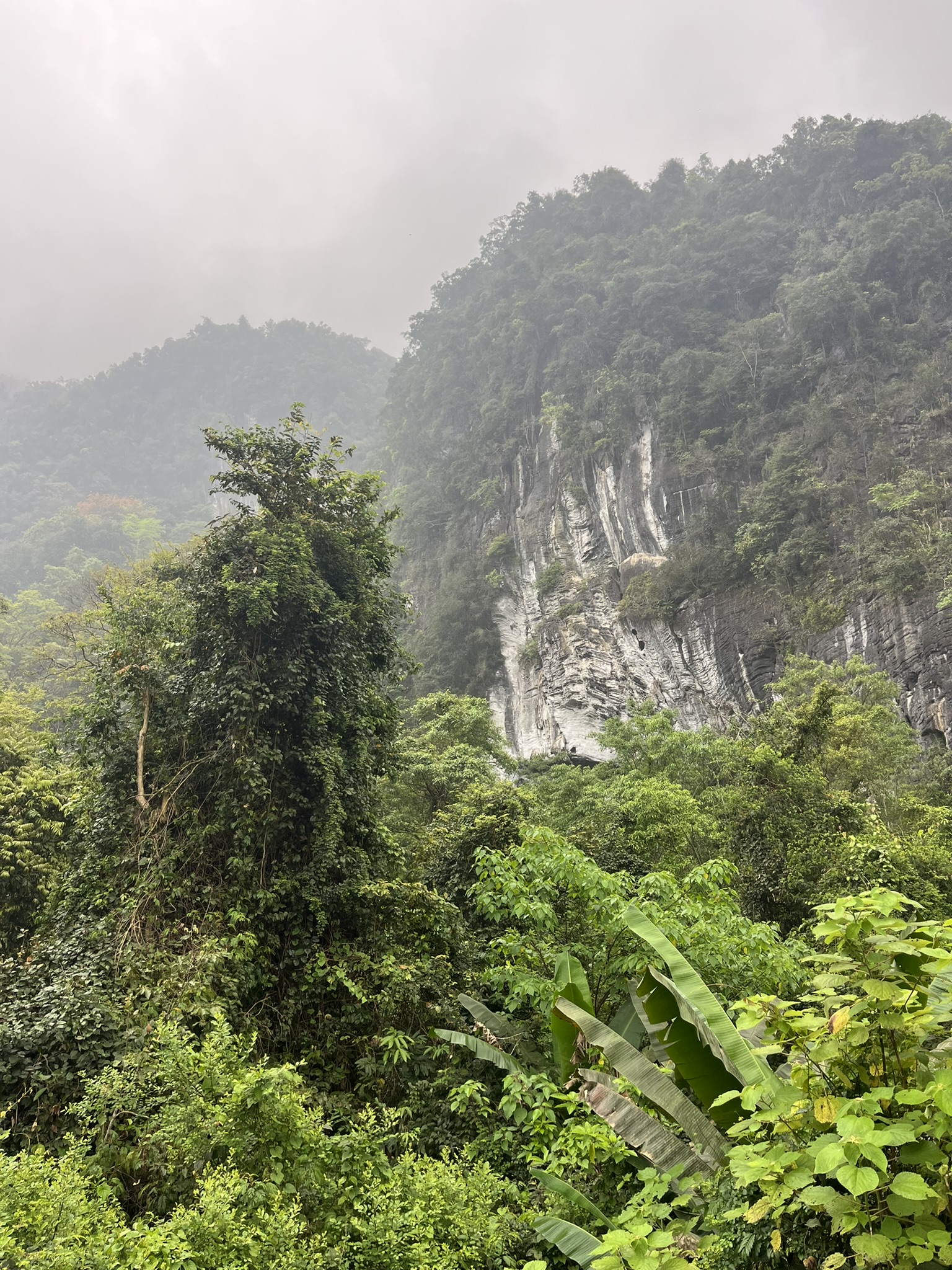 Phong Nha