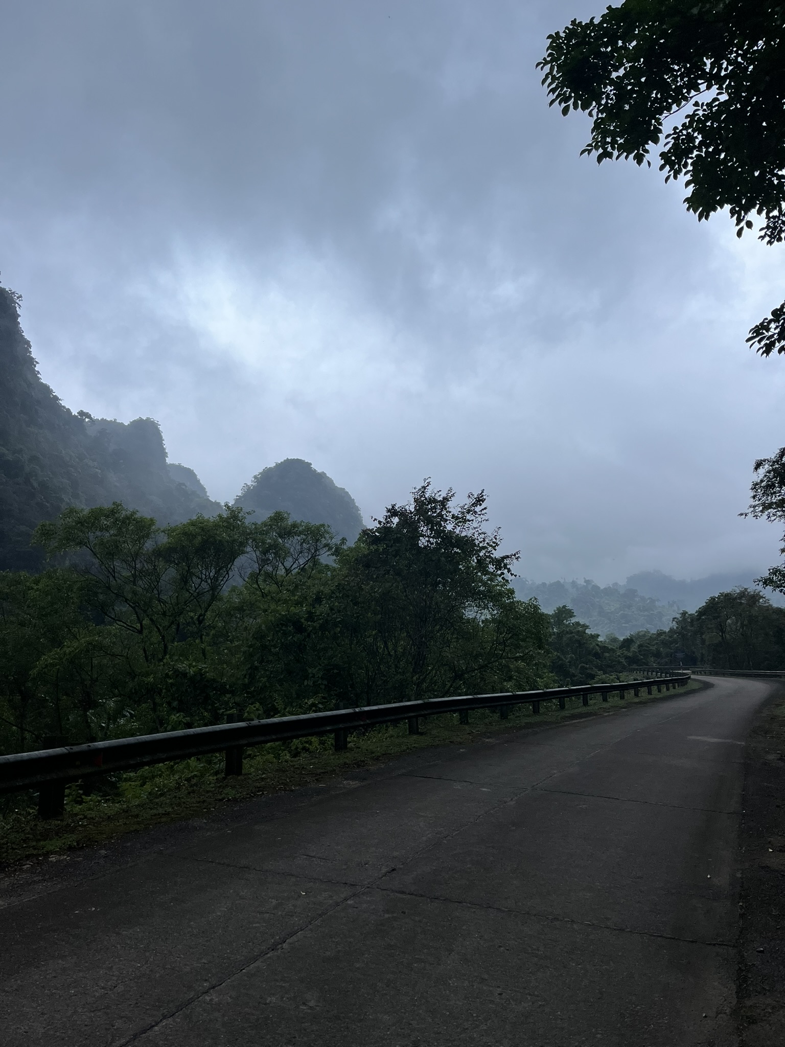 Phong Nha